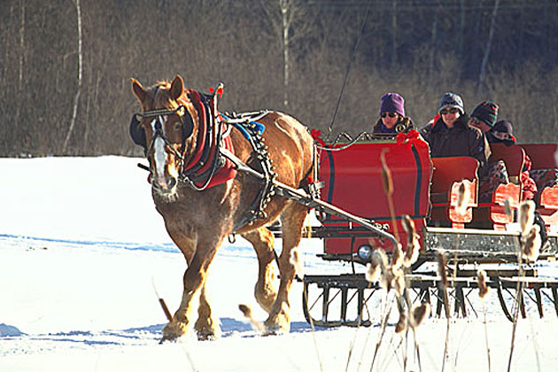 Lareau Farm Sleigh Rides, Waitsfield 